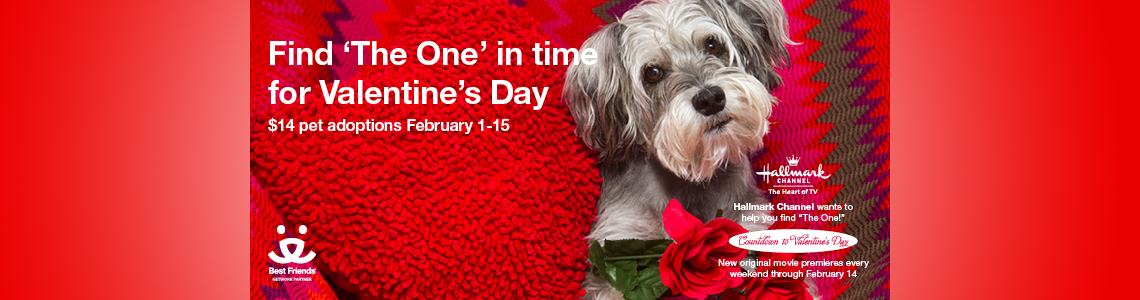Find ‘The One’ in time for Valentine’s Day